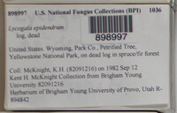 Image Associated With the Occurence
